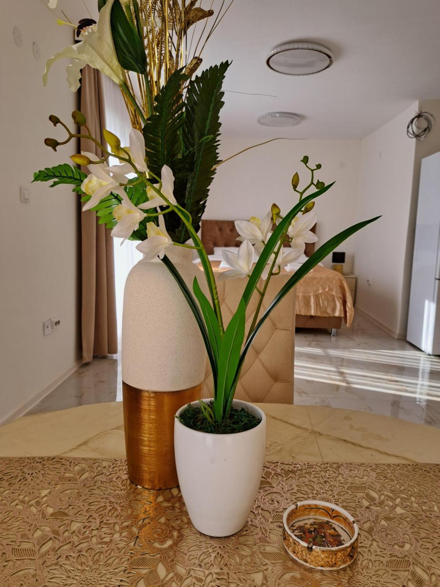 Dina Lux Apartman Jagodina Kültér fotó